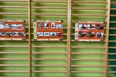 559544736_842737332005364_5136693196203822476_n