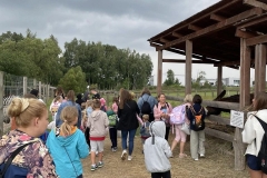 346f2a7c-60b3-43b3-9b67-b6019eec5c15_wynik