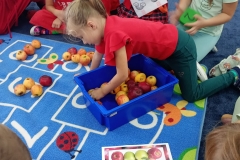 557635737_122335534196214596_4379272606138559785_n