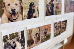 20251126_082359637_iOS