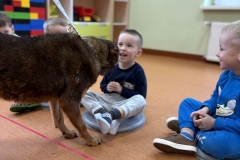 20251126_084902841_iOS