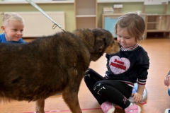 20251126_084908046_iOS