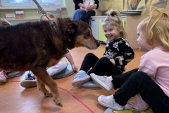 20251126_084923229_iOS