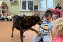 20251126_085056571_iOS