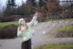 326472171_488180000057184_4457337781379367475_n