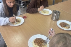 558292905_122340174824214596_3212450296039828979_n