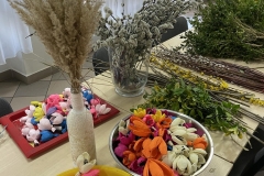 53b5b3ed-0553-4099-b7da-530985fed000