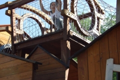 19983334_1503446083045429_7358251658814803583_o