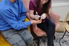 657155300_1387083983222577_8661567077590673688_n