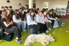 671683873_122444897138214596_3250168086680657253_n