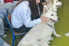 672175570_122444896874214596_6853017104627285462_n