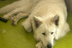 672289858_122444896916214596_6255627532486224883_n