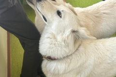 672330375_122444896832214596_4494786706229321108_n