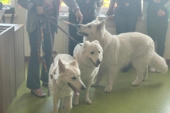 672395677_122444896982214596_8665601039739141429_n