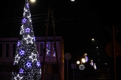 IMG_0311 (Copy)