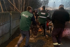 Messenger_creation_429BEDF9-4221-4BD1-911F-9CCE8521D303