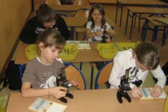 zdjecia-projekt-unijny-130