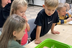 547b060a-8909-438e-84ac-6cf06ebf0611