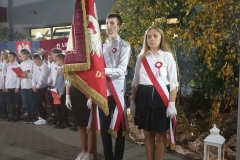 1699788089912-Kopia