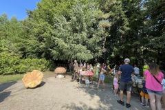 368231017_790388136118675_2259922011441104607_n