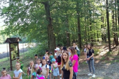 368244186_661519549023271_8397831162220934605_n