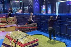 d42a0b52-c5a1-442c-b54d-272113273682