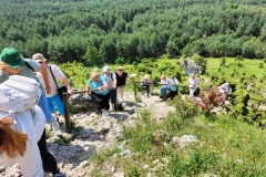 511987682_1277530717331884_384426547954140469_n