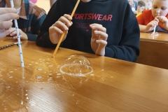 1701152972382