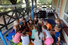 540259466_803539765677264_367096824693495688_n