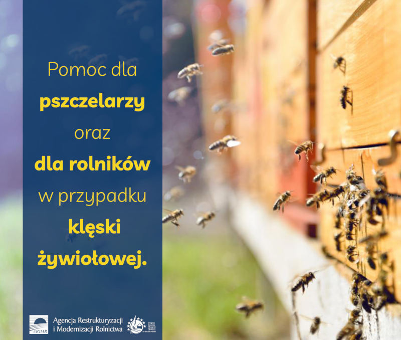 Rusza pomoc dla pszczelarzy - informacja prasowa