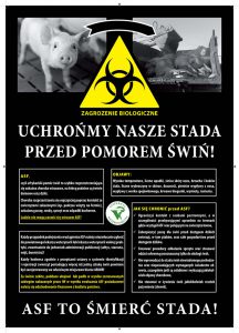 Afrykański Pomór Świń - kampania informacyjna