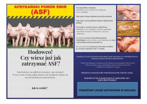 Afrykański Pomór Świń - kampania informacyjna