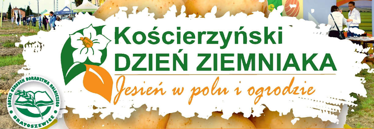 Kościerzyński Dzień Ziemniaka