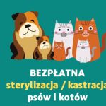 Dofinansowanie do zabiegów weterynaryjnych kastracji/sterylizacji psa/kota