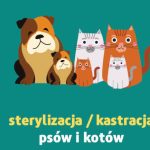 Dofinansowanie do zabiegów weterynaryjnych kastracji/sterylizacji psa/kota