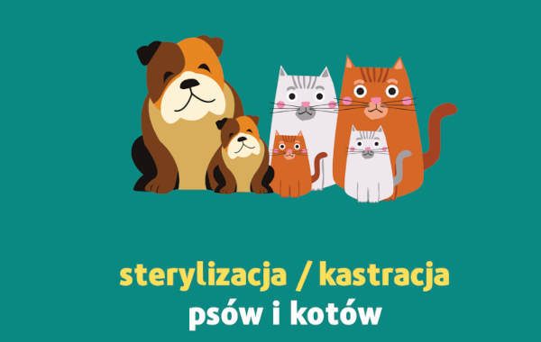 Dofinansowanie do zabiegów weterynaryjnych kastracji/sterylizacji psa/kota