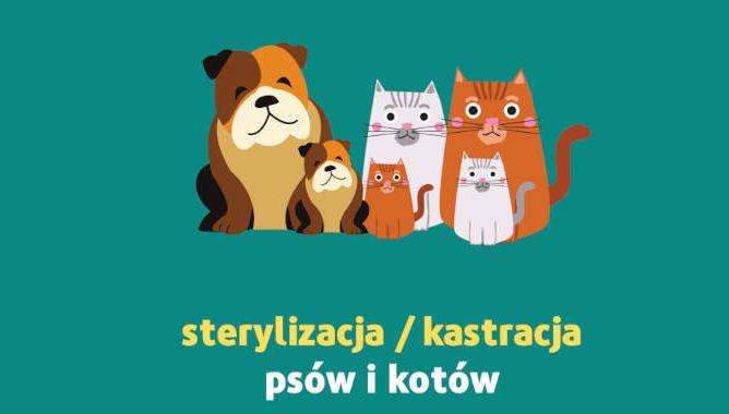 Dofinansowanie do zabiegów weterynaryjnych kastracji/sterylizacji psa/kota
