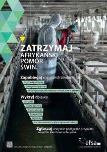 Afrykański pomór świń (ASF). Informacje