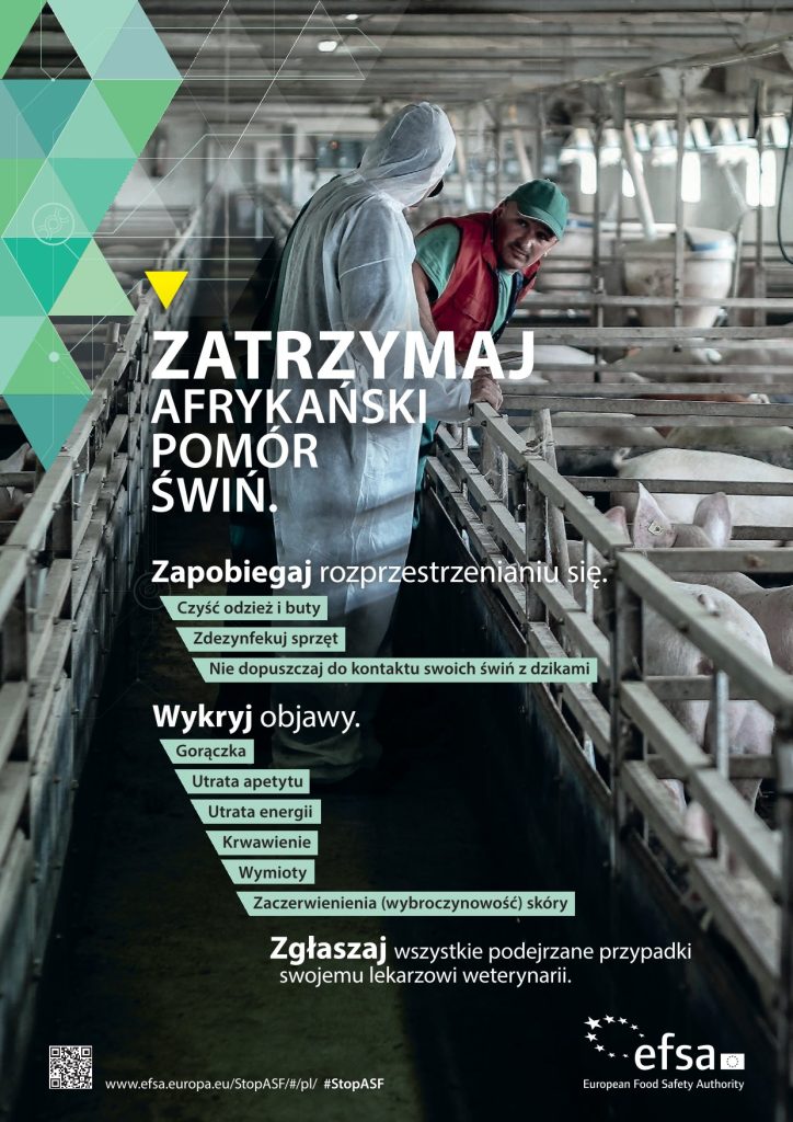 Afrykański pomór świń (ASF). Informacje