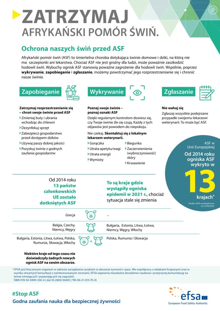 Afrykański pomór świń (ASF). Informacje