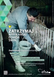 Afrykański pomór świń (ASF). Informacje