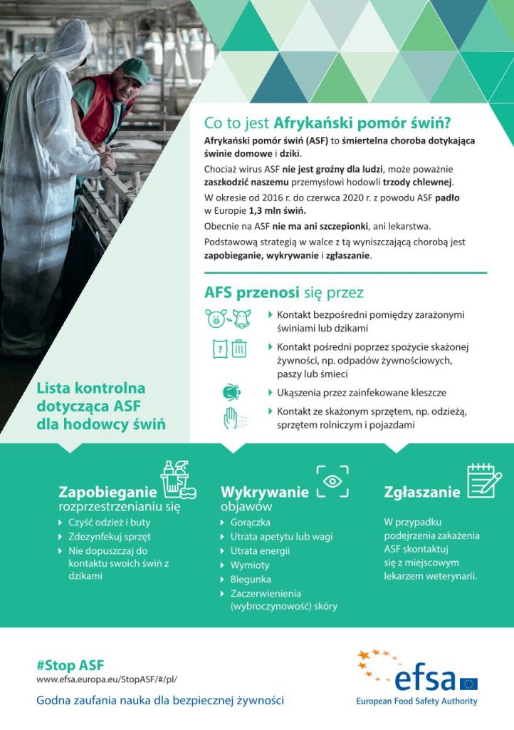 Afrykański pomór świń (ASF). Informacje
