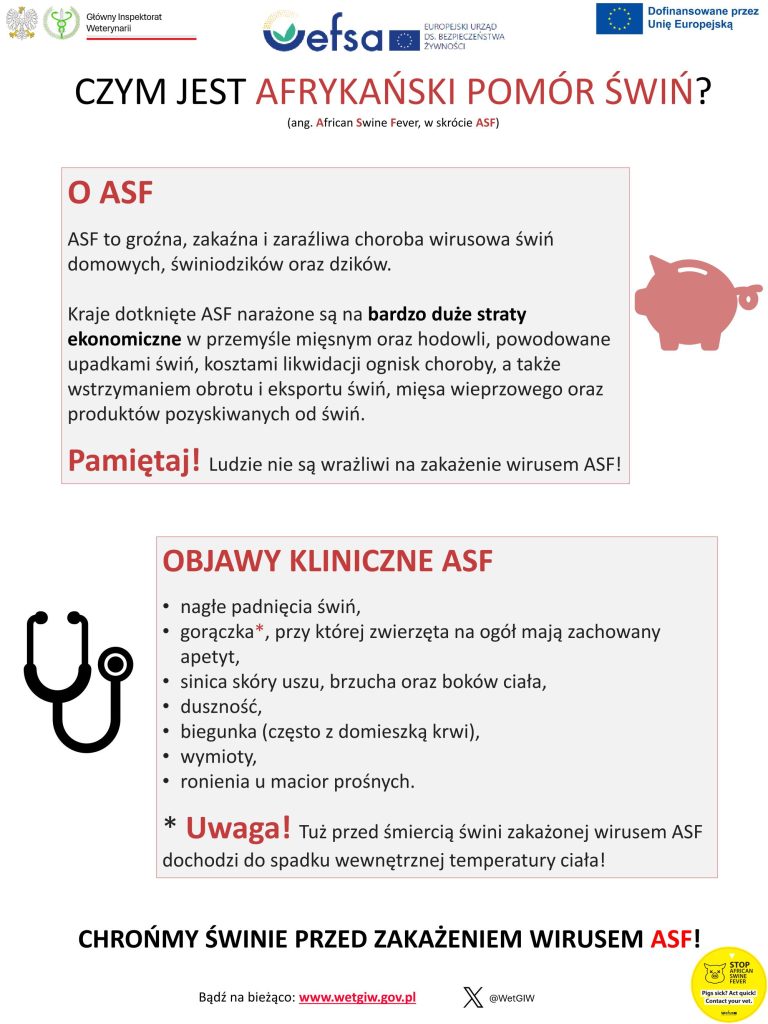 Afrykański pomór świń (ASF). Informacje