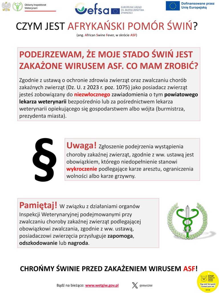 Afrykański pomór świń (ASF). Informacje