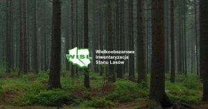Wielkoobszarowa Inwentaryzacja Stanu Lasów w kraju w latach 2025-2029