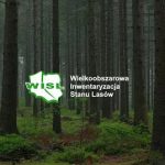 Wielkoobszarowa Inwentaryzacja Stanu Lasów w kraju w latach 2025-2029