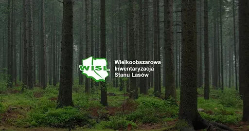 Wielkoobszarowa Inwentaryzacja Stanu Lasów w kraju w latach 2025-2029