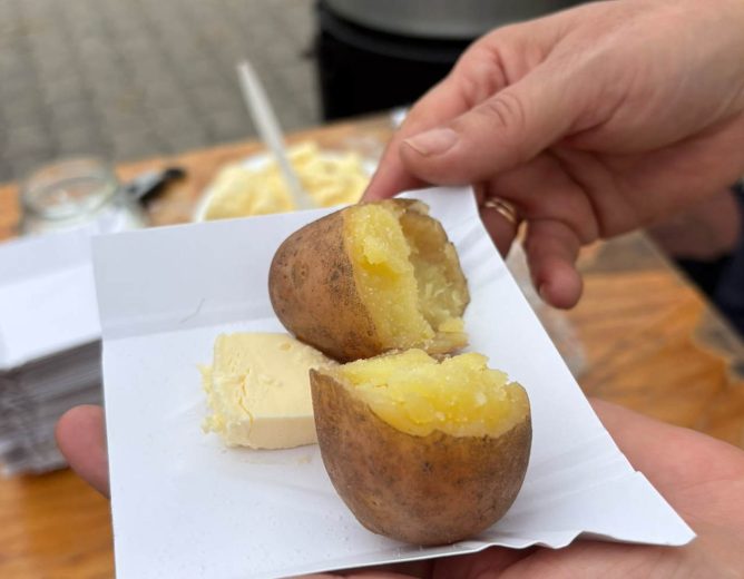 Relacja z „Dnia Ziemniaka” w Białej