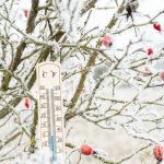 Uwaga! Prognozowane silne mrozy