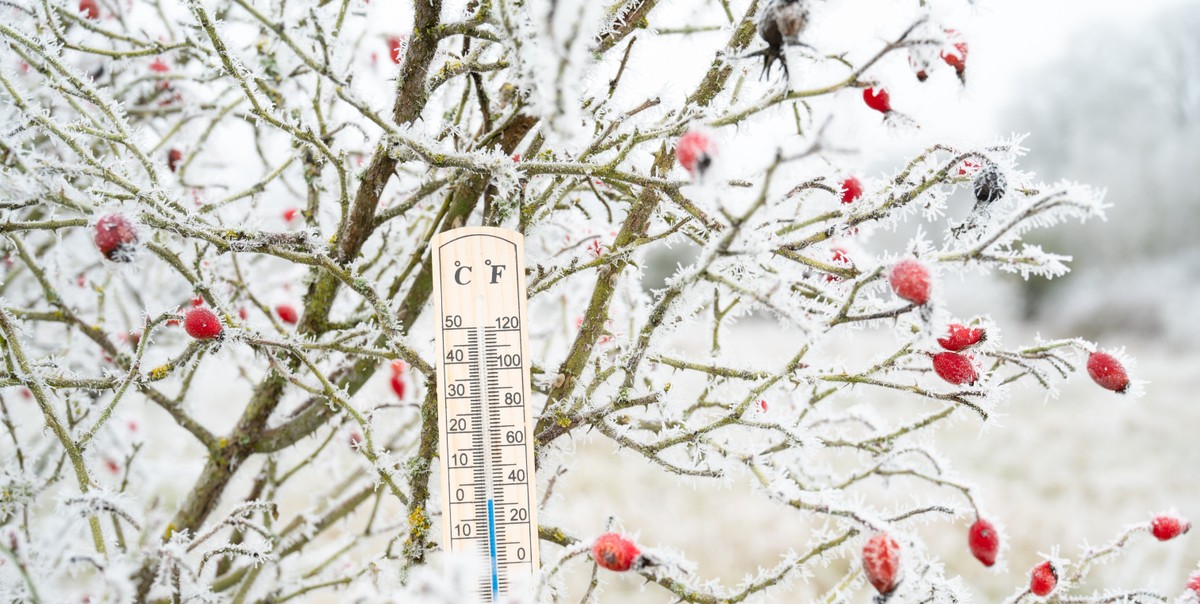 Uwaga! Prognozowane silne mrozy